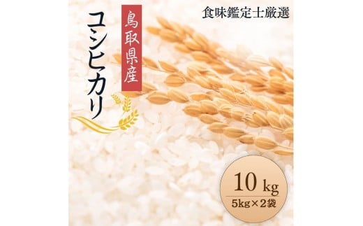 【令和7年産新米】【食味鑑定士厳選】 鳥取県産 コシヒカリ10kg (5kg×2袋)【新米 米 お米 こめ 白米 こしひかり ご飯 ごはん 白ごはん 白ご飯 鳥取県 北栄町 おすすめ 人気 2025年産 令和7年 厳選 国産 送料無料】
