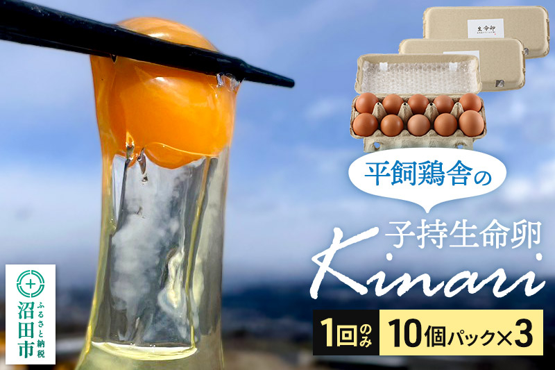 
                  子持生命卵 Kinari（有精卵30個）10個パック×3つセット 自然の恵みファームズ [卵 玉子 たまご タマゴ 1回のみ 1回だけ]
                