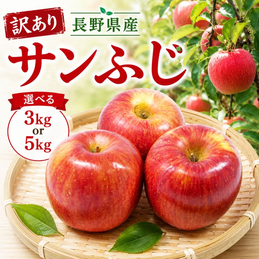 【ふるさと納税】【訳あり】長野県産 サンふじ 選べる容量 約3～5kg ＜2026年11月下旬～12月中旬発送＞| 果物 くだもの フルーツ りんご リンゴ 林檎 サンふじ 訳あり わけあり 長野県 信州 南信州 飯田市 EJ20 EJ21