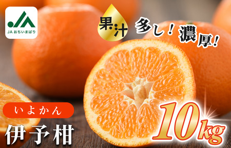 【先行予約】伊予柑 約10kg 愛媛県今治市