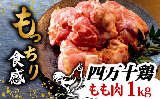 銘柄鶏 四万十鶏 もも肉 1kg ( 500g × 2パック ) | 切身 カットでかんたん時短セット カット済み 鳥肉 とりにく 鶏もも 冷凍 国産 ブランド 唐揚げ 煮物 鍋 チキン 南蛮 高知県 須崎市 TM042
