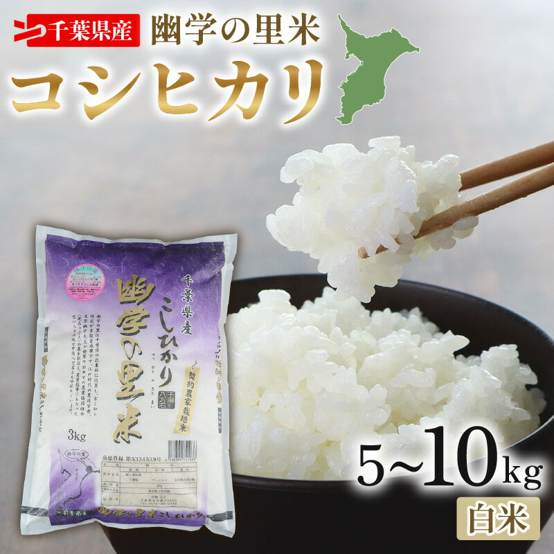 【ふるさと納税】 令和7年産 米 幽学の里米 コシヒカリ 選べる 5kg 10kg 20kg 定期便6回5kg 定期便6回10kg 精米 国産 千葉県産コシヒカリ 炊飯 米 お米 すし米コンテスト・国際大会 特Aランク賞受賞 送料無料 産地直送 千葉 千葉県産 ふるさと納税 千葉県 旭市 幽学の里米