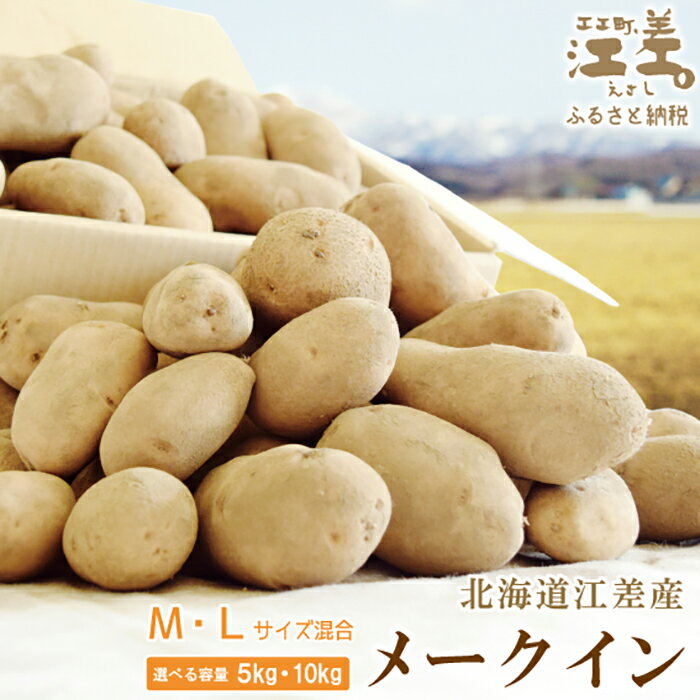 【ふるさと納税】★9月頃～順次出荷★北海道産 越冬メークイン M・L混合 〈選べる容量 5kg・10kg〉　しっとり甘い　農家直送　北海道のじゃがいも　芋の塩煮にぴったり　じゃがバター　シチュー　カレー　ポトフ　野菜料理　ポテト　じゃがいも　芋