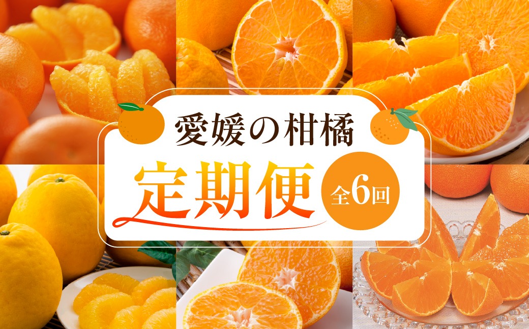 【愛媛県共通返礼品】【定期便】愛媛の柑橘定期便（全6回）（日の丸みかん・紅まどんな・いよかん・デコポン・せとか・河内晩柑） ※2026年11月～2027年4月に毎月1回発送予定 IKTAX018