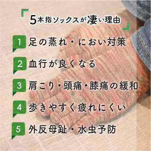 竹紀行5本指タウンソックス(アカMIX4足)【2401T02309_02】