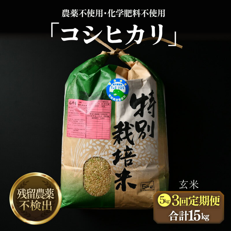 【ふるさと納税】【先行予約】【令和8年産 新米】定期便《3ヶ月連続お届け》コシヒカリ 玄米 5kg （計15kg）特別栽培米 農薬不使用 化学肥料不使用 ／ 残留農薬ゼロ 高品質 鮮度抜群 福井県産 ブランド米 ※2026年10月上旬以降順次発送