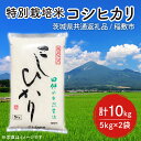 【ふるさと納税】【先行予約】【6年度産新米】特別栽培米 田仲のコシヒカリ10kg(5kg×2袋)【米 おこめ こしひかり 農家直送 直送 茨城県】（茨城県共通返礼品/稲敷市）（HT-106）