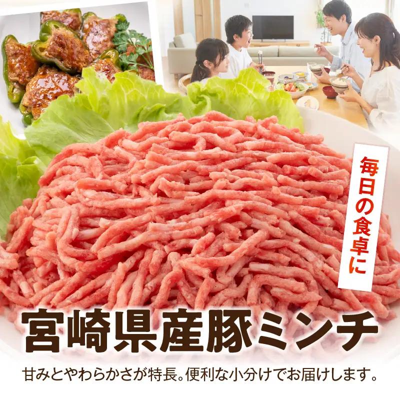 宮崎県産豚ミンチ 2kg_kn126-002-020