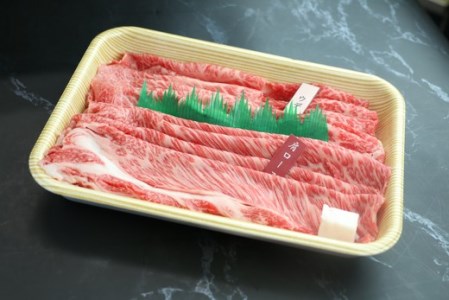 近江牛霜降り・赤身すき焼き用（肩ロース・ウデ）【500g（肩ロース250ｇ、ウデ250ｇ）】【CO05SM】