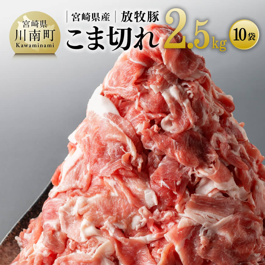 【小分け！】宮崎県産豚肉　放牧豚こま切れ　10袋（計2.5kg）　豚肉[C08105]