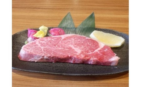 【数量10セット限定】熊本県産黒毛和牛シャトーブリアン・ヒレステーキ450g