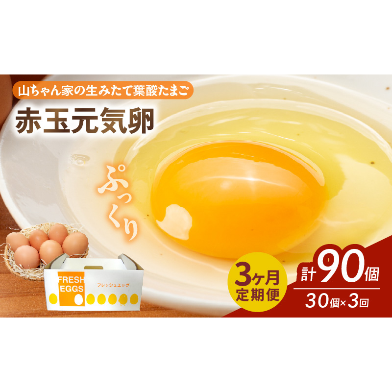 【3ヶ月定期便】【山ちゃん家の生みたて葉酸たまご】赤玉元気卵（30個入り）［132Y05-T］