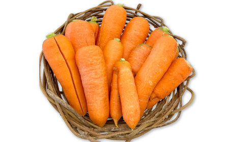 訳アリ にんじん 10kg 愛媛県大洲市/株式会社誠実村[AGER001]