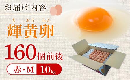 ヒラノのたまご【輝黄卵(きおうらん)】赤Mサイズ10kg(160個前後)【たまご 福岡県産たまご 九州産たまご 国産たまご 新鮮たまご 鮮度 高品質たまご たまご 美味しいたまご タマゴ たまご焼き 