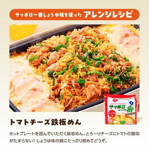 ラーメン サッポロ一番 人気３種セット ラーメン 袋麺 計30食｜ラーメン ラーメン ラーメン ラーメン ラーメン ラーメン カップ麺 