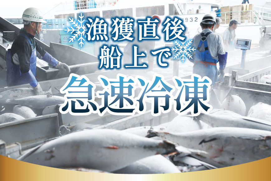 亀洋丸のお刺身用戻りかつおとかつおタタキのセット（各1筋） [阿部長商店 宮城県 気仙沼市 20565601] カツオ かつお 鰹 たたき かつおたたき 刺身 生食 鮮魚 おさしみ お刺身 冷凍 小分