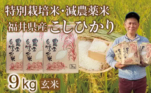 〈先行予約・新米〉減農薬米 こしひかり 9kg(3kg×3袋)／令和7年 福井県産 （玄米）2025年12月発送  人気品種 少量サイズ便利