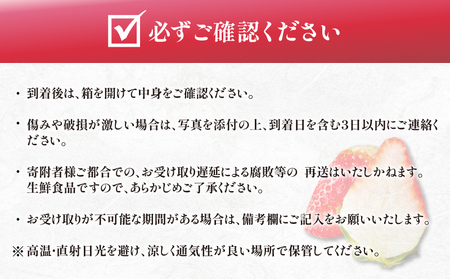 先行予約≪数量限定≫都農町産いちご「さがほのか」計1kg フルーツ 果物 デザート イチゴ 国産_T015-001【おすすめ いちご 旬 いちご 苺 くだもの いちご 果実 いちご おやつ いちご 産