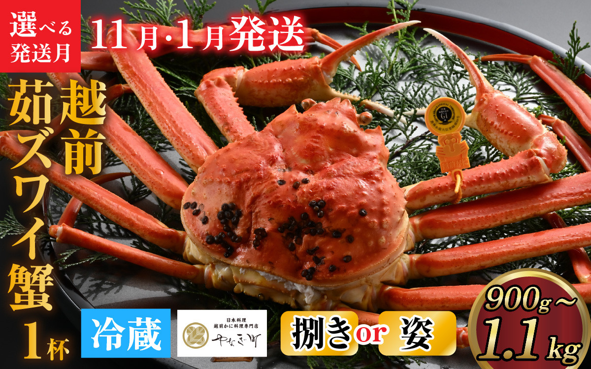 
            【先行予約】[捌き済選択可][到着日指定可] 蟹好きにおすすめ！老舗カニ専門店の「越前ずわいがに」(900g～1.1Kg)　＜11月、1月発送分＞【11月上旬より順次発送】 [K-085020]
          