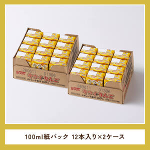サンAキウイとりんごジュース100％　100ml紙パック×12本×2ケース 【 飲料 ジュース キウイ りんご リンゴ 九州産 紙パック 送料無料 】