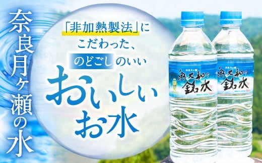 【定期便5ヶ月】奥大和の銘水　540ml×48本（1箱24本入り×2箱）×5ヶ月 F-80