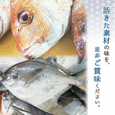 AD6101n_鮮魚問屋の 特製和歌山県産 天然鯛とまながつおの 西京漬 6パック（2種×3パック）詰合せ