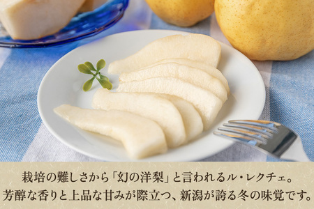 【2025年先行予約】新潟特産 幻の洋梨ル・レクチェ【青秀品】約2kg《11月下旬～お届け》