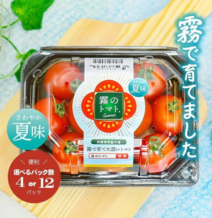 【ふるさと納税】【霧で育てた濃厚な味】霧のトマトSummer　200g× 4パック or 12パック