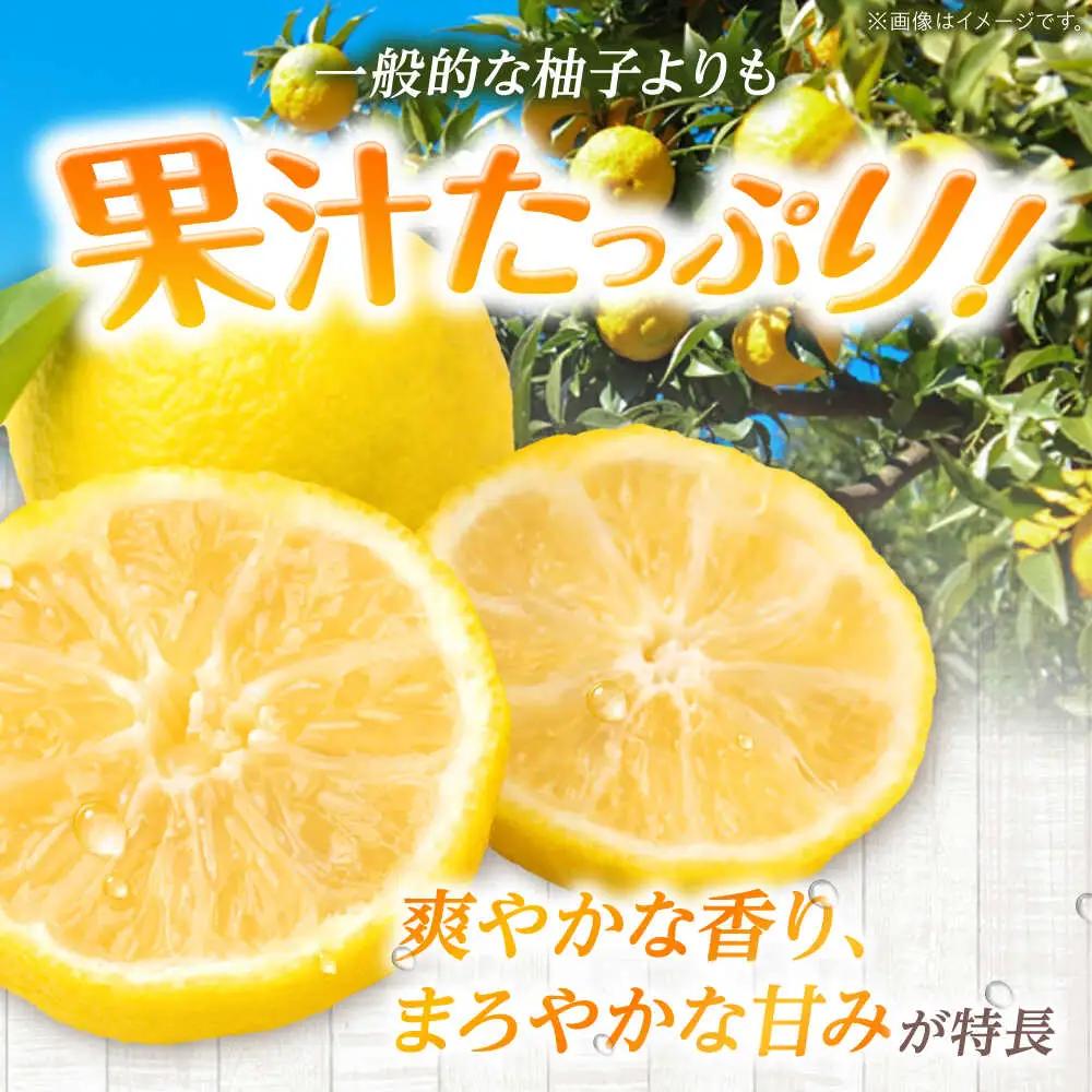 【訳あり】【2026年先行予約】種なし柚子3kg ＜2026年11月中旬より順次発送＞[APAQ004] ゆず