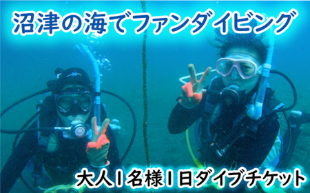 ファンダイビング チケット 大人1名1日 2ビーチ  伊豆半島 スキューバ ダイビング