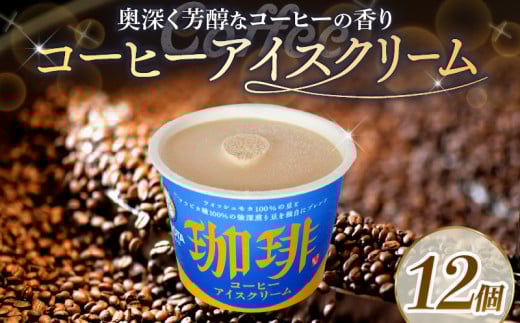 コーヒーアイスクリーム110ml✕12個 | アイスクリーム コーヒー 珈琲 珈琲アイス カップアイス 人気 大容量 有名 アイスセット 詰め合わせ スイーツ ジェラート 久保田食品 高知県 南国市