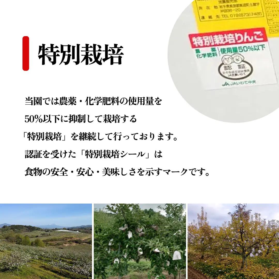 【ご家庭用】りんご はるか 約3kg (6～11玉) (FH003)