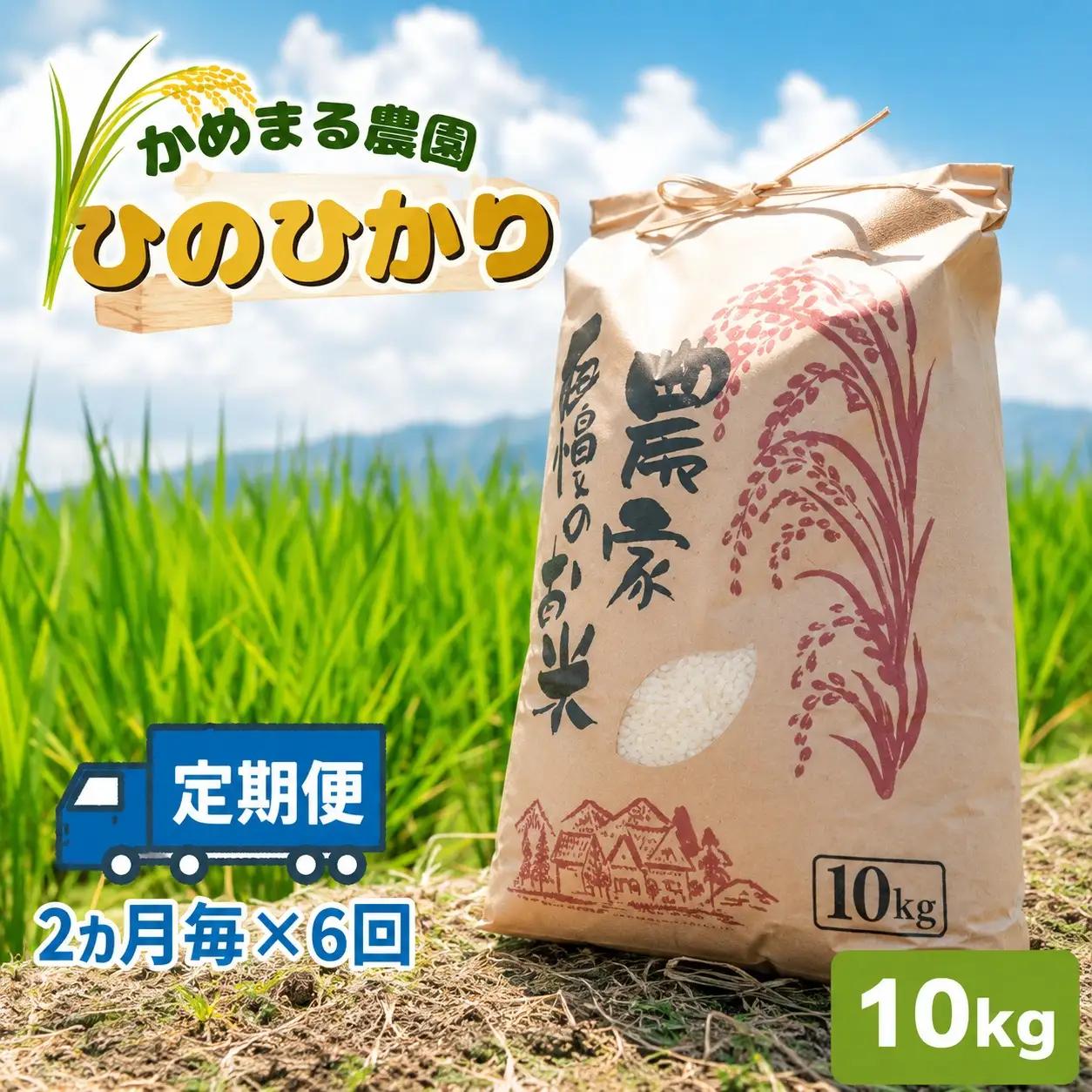 【定期便6回】米 ひのひかり 10kg（2ヶ月毎×6回）| かめまる農園