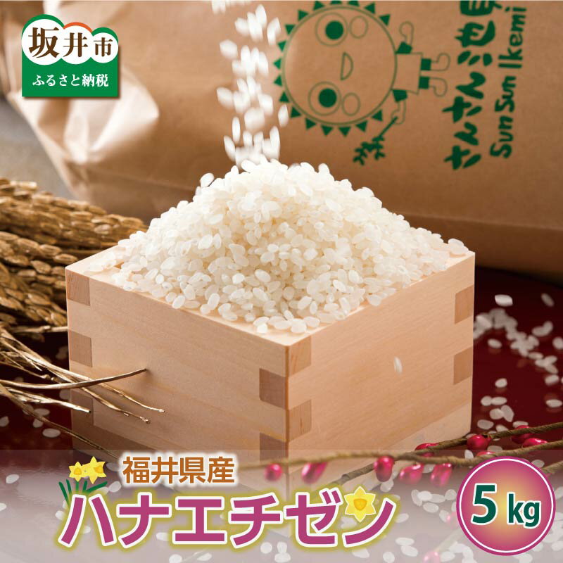【ふるさと納税】【先行予約】【令和7年産・新米】福井県産 ハナエチゼン 5kg / 10kg 【選べる内容量・精米方法】【2025年8月下旬以降順次発送】 〜坂井市三国町産・こだわりの精米対応〜 【お米 無洗米 玄米 白米 5キロ 10キロ ふるさと納税米 産地直送】
