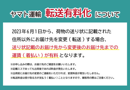 江戸切子 トールタンブラー 泡響 M-1620-C クリア |  江戸切子 彩鳳 グラス タンブラー 江戸切子 埼玉県 草加市