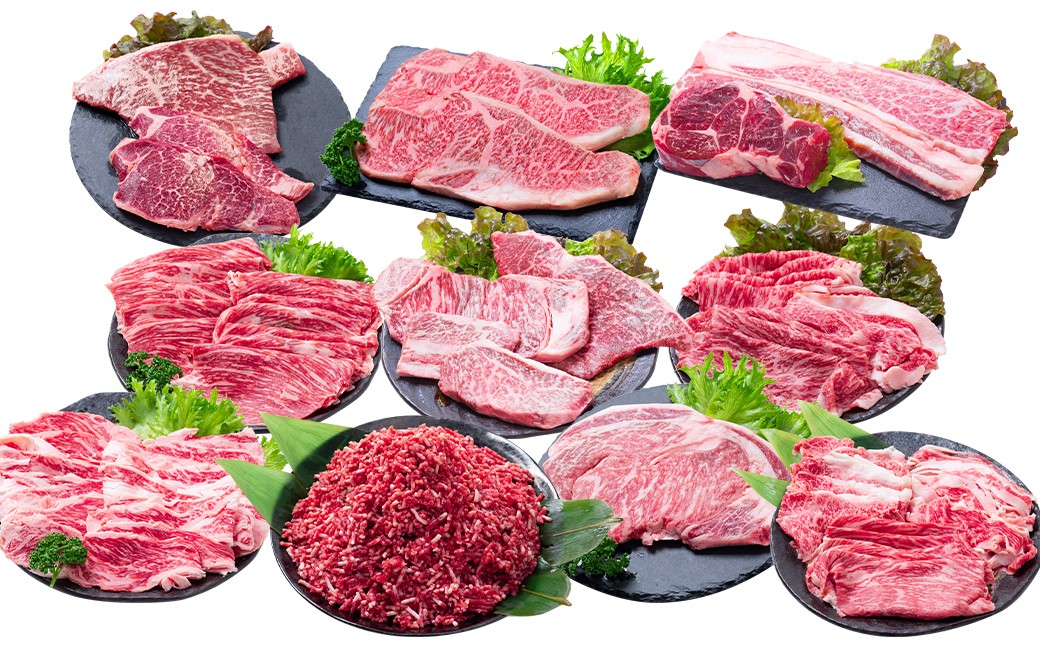 
            【12回定期便】 長崎和牛 スタンダードコース ／ 12回定期便 和牛 牛肉 お肉 肉 ヒレ もも カルビ バラ サーロイン 牛ミンチ ミンチ ロース リブロース すね トモサンカク シキンボ ステーキ 焼き肉 焼肉 すき焼き しゃぶしゃぶ 煮込み 煮込 ブロック セット 食べ比べ 定期便 長崎県 時津町 冷凍
          