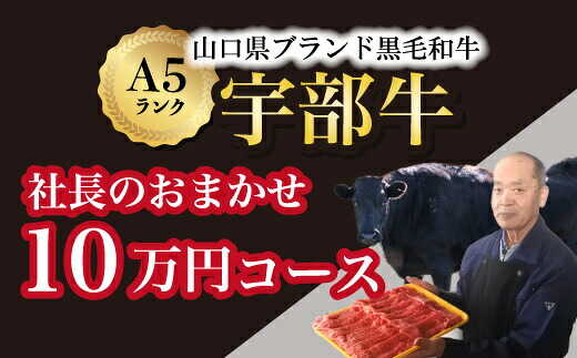 【ふるさと納税】【宇部牛】社長おまかせ ＜10万円コース＞ 黒毛和牛A5ランク宇部牛 山口県 宇部市 こだわり ブランド 希少部位 骨付き 焼肉 すき焼き BBQ しゃぶしゃぶ ステーキ お祝い クリスマス お誕生日[BTAJ006]