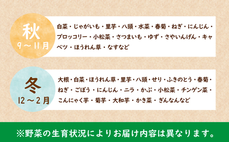 茂木町産 朝採れ 季節の野菜詰め合せ | 野菜詰め合せ 野菜詰め合せ 野菜詰め合せ 野菜詰め合せ 野菜詰め合せ