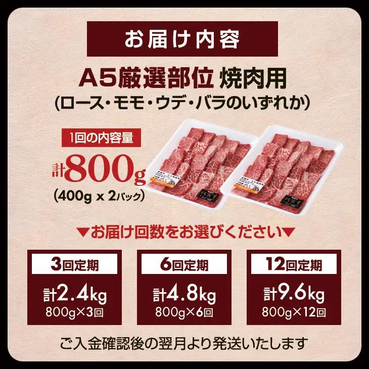 【定期便】佐賀牛 A5 焼肉用 厳選部位 800g 6回定期 計4.8kg(800gx6)  桑原畜産 Q126-001