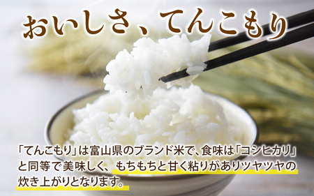 25年10月中旬以降順次発送 富山県滑川産「てんこもり」与文のお米（精米10kg）産地直送 袋 精米10kg おにぎり お米 白米 国産 ご飯 ごはん 富山県 滑川市 アグリめぐみ B-050002