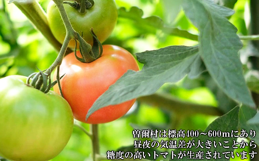 曽爾村特産高原トマト約2kg※電話での調整後順次発送（北海道・沖縄県への送付不可）