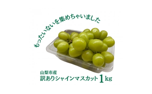 ＜2026年発送＞訳あり 粒 シャインマスカット 約1kg【1419892】