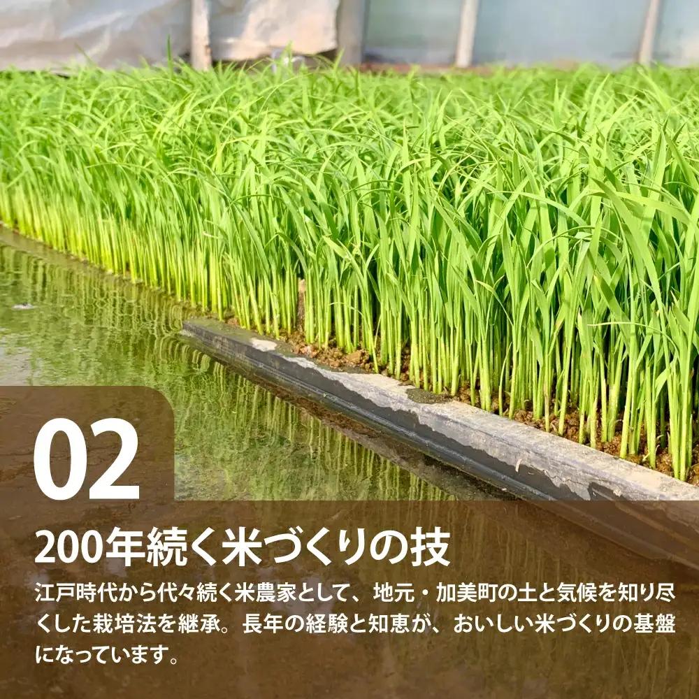 令和8年産 つや姫 5kg×4回定期便 つや