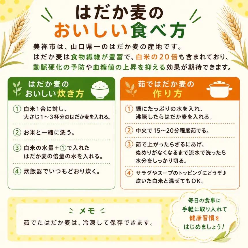はだか麦 5袋セット