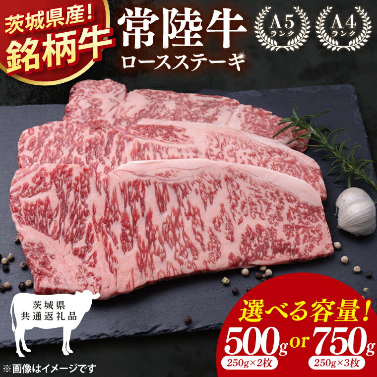 【ふるさと納税】【茨城県共通返礼品】【選べる内容量】常陸牛ロースステーキ500g(250g×2)・750g(250g×3)【ロース 牛肉 銘柄牛 冷凍 たんぱく質 茨城県 阿見町】(81-01)