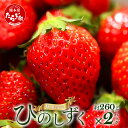 【ふるさと納税】先行予約 熊本県産 いちご【ひのしずく】約260g×2パック 103-0005 坂下農園 産地直送 国産 希少 新鮮 フレッシュ イチゴ 2パック 苺 フルーツ 果物 春 名産 熊本 多良木町 ビタミン 旬 いちご フルーツ 果物 くだもの 果実 熊本県 多良木町 送料無料