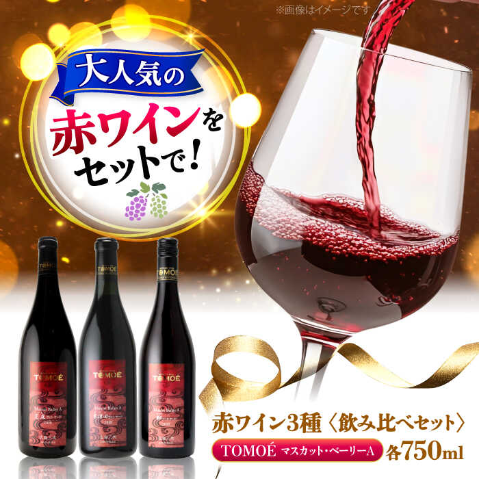 【ふるさと納税】〜三次のMBAを味わう〜マスカット・ベーリーA 3ヴァインヤードセット ワイン 受賞 飲み比べ　赤ワイン ギフト 三次市 / 広島三次ワイナリー[APAZ031]