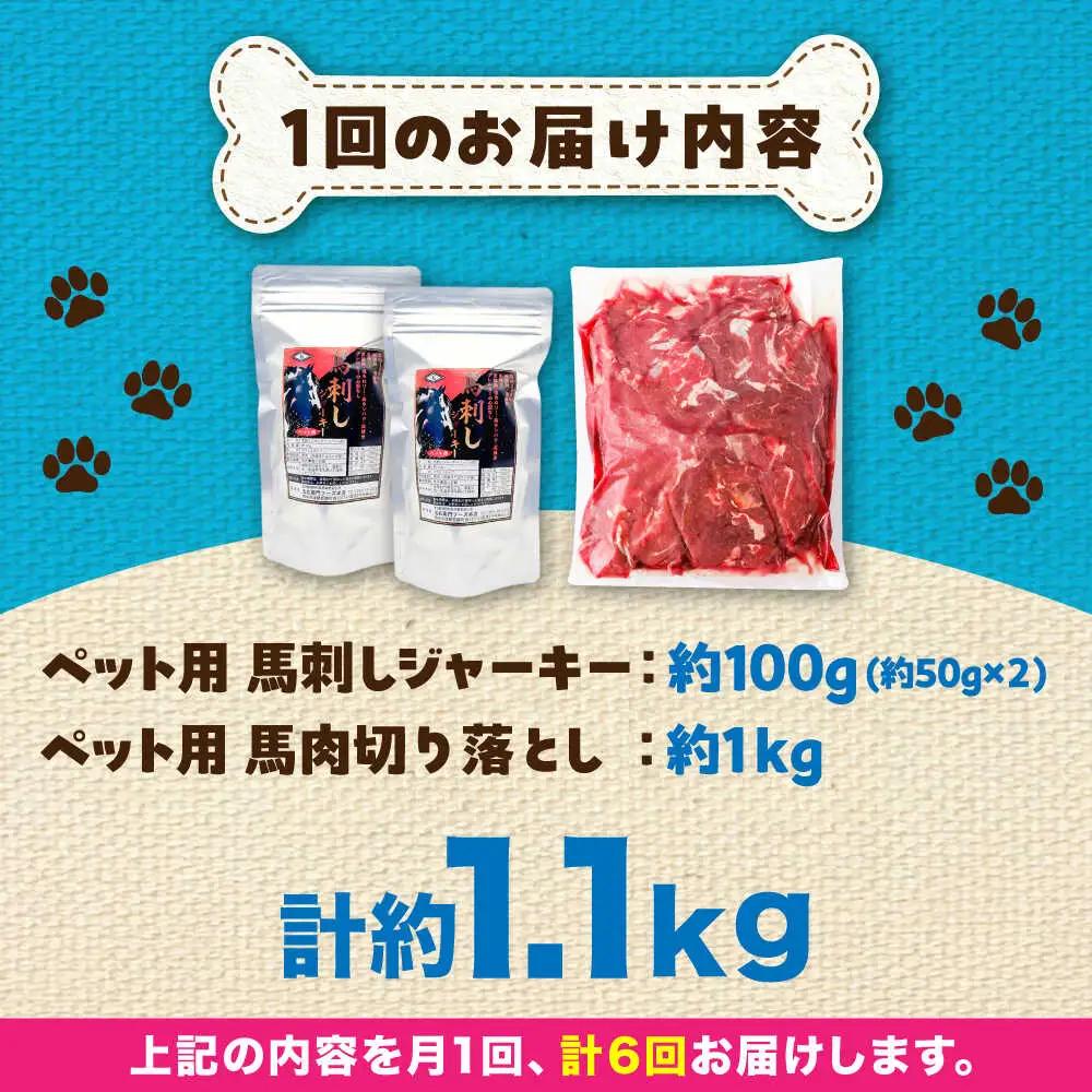 【全6回定期便】詰め合わせ 国内加工 ペット用 馬肉 切り落とし 約1kg ペット用 馬刺しジャーキー 約100g BHCY067