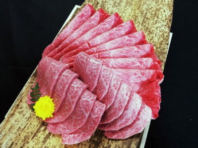 げんさんの近江牛満喫コース　12ヶ月で全6回お届け（2カ月に1回）【DG13T】