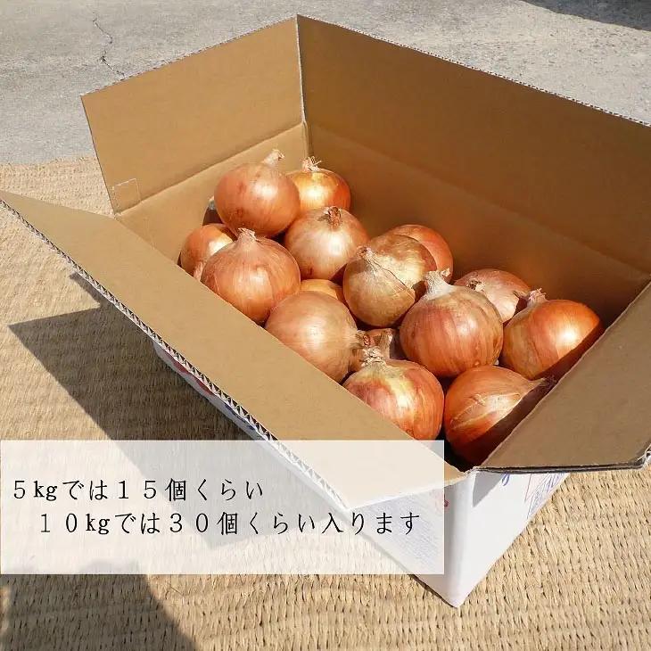 淡路島玉ねぎ（淡路玉三郎）10kg